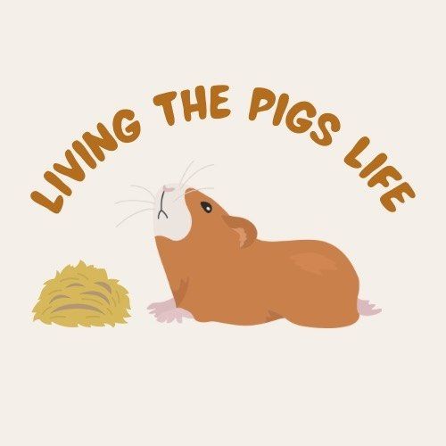 living the pigs life | guinea pig behaviorist